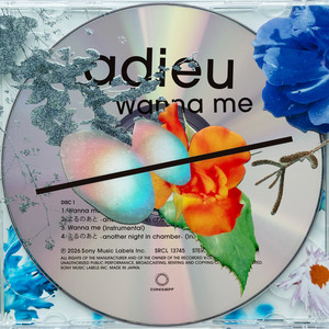 よるのあと -another night in chamber- by adieu