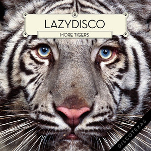 Lazydisco cover