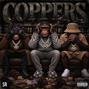 COPPERS by SR
