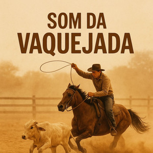 Som da Vaquejada