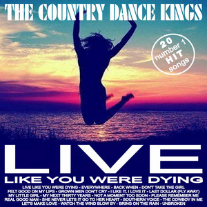 20 #1 Hit Songs - Live Like You Were Dying album