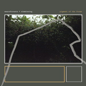 album cover: pigment of the forms