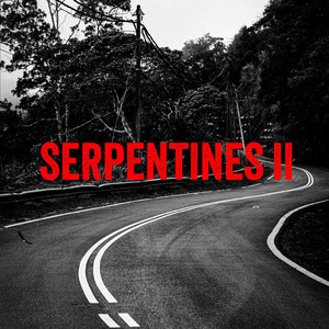 Serpentines II by Ruebi