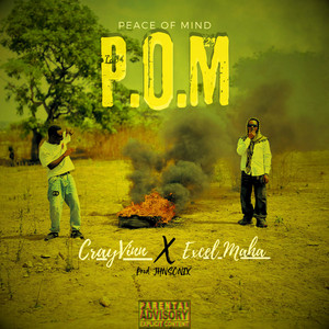 POM (Peace of Mind)