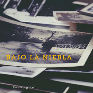 Bajo la Niebla by Concrete Garden