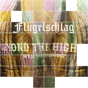 Flügelschlag by Sowilo777