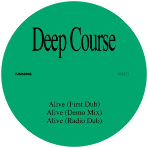 Deep Course cover