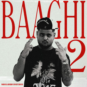 Baaghi 2 by Hukeykaran