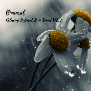 Binaural: Relaxing Natural Rain Sound Vol. 2 album