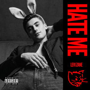 HATE ME by Levi Zane