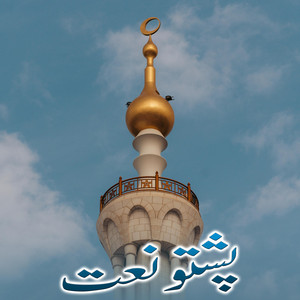 غزل ماښام - Da Zargi Haal Ba Khudaya Chata Wayam