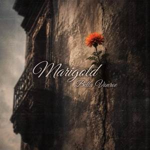 Marigold - Instrumental by Bella Vonroe