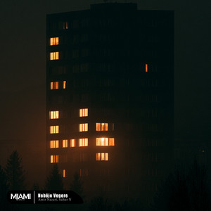 Nebêje Vegere by Amir Nazari, Sahar N