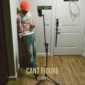 Portada de Cant Figure