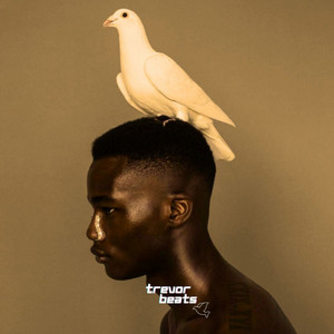 Trevor Beats - Success