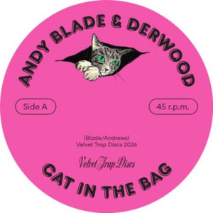 Cat In The Bag by Andy Blade, Derwood