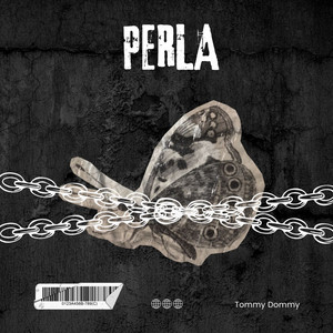 Perla by Tommy Dommy
