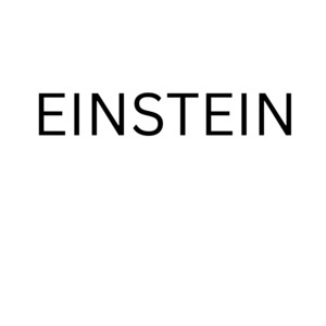 Einstein by David Shepherd Grossman