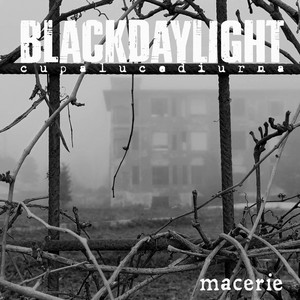 Blackdaylight artist photo