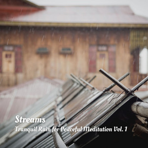Streams: Tranquil Rain for Peaceful Meditation Vol. 1 album