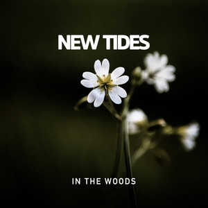 In the Woods by New Tides