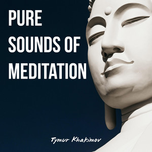 Pure Sounds of Meditation