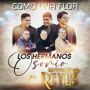 Los Hermanos Reyes de Guatemala - Como Una Flor (Clásica) (feat. Los Hermanos Osorio)