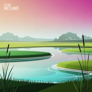 Clear Wetland by Novytrix