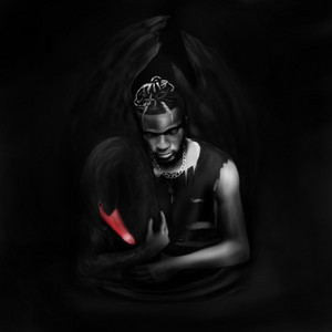 The Black Feather Diaries cover