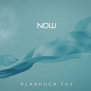 Now by plankuca toy