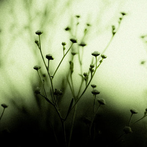 steady by silent notion