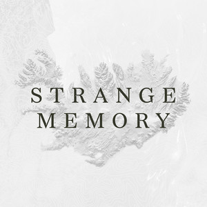 Strange Memory by Rainbow Body