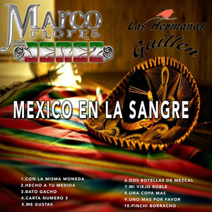 [DVD](中古品) Mexico Sangre: La En Sinaloa