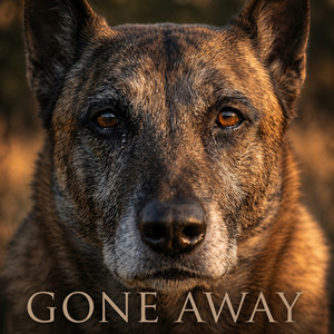 Gone Away by Roy Stone