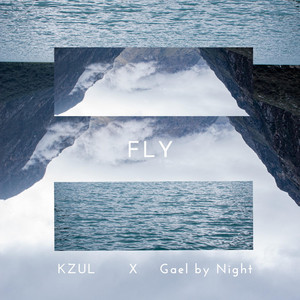 Fly