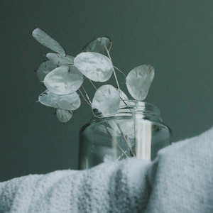 Muted Greens by Brisa Dourada