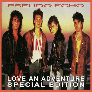 PSEUDO スード・エコー アルバム 10枚セット ECHO ALBUM