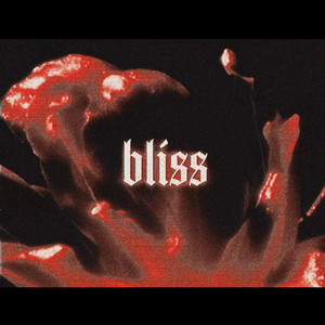 bliss by saint.
