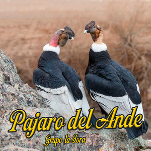 Pajaros del Ande by Grupo La Jora