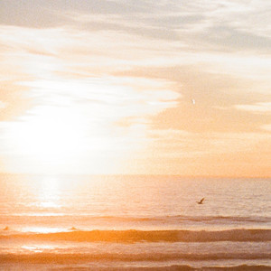 Still I Rise by Elliot Vast