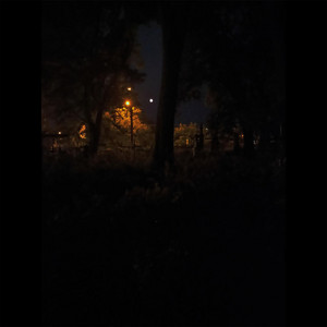 Обкладинка: Walking in the graveyard