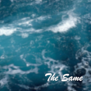 The Same by Bachmann