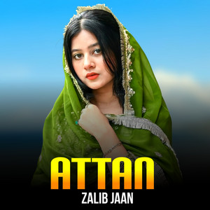 Zalib Jaan - Pakhwa Zawani Me Nasta