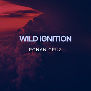 Wild Ignition by Ronan Cruz