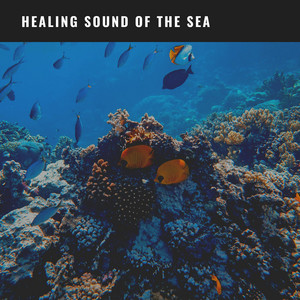 Calm Ocean Sounds: Healing Sound of the Sea album