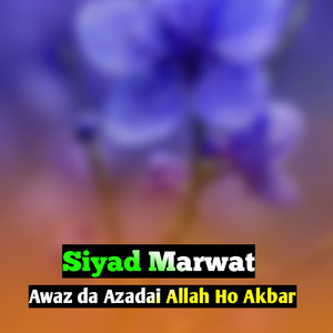 Siyad Marwat - Awaz da Azadai Allah Ho Akbar