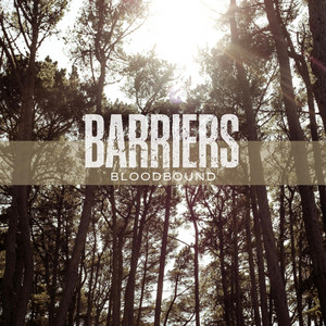 Bloodbound by Barriers