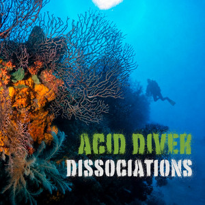 Summer Dive - Airplay Edit by Acid Diver