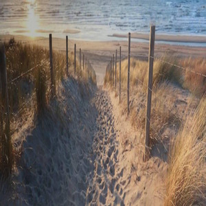 Nexus Bloom artist photo