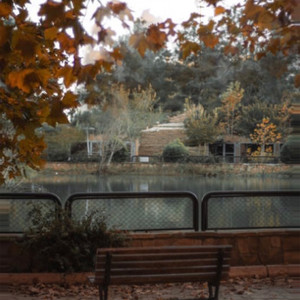 在深秋 (Gzzzzz变速版,抖音热播版)